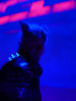 Everything is Blue