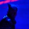 Everything is Blue