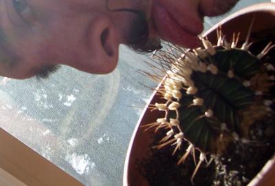 cactus_bad.jpg