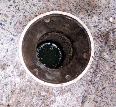 icky, gross hole! why?