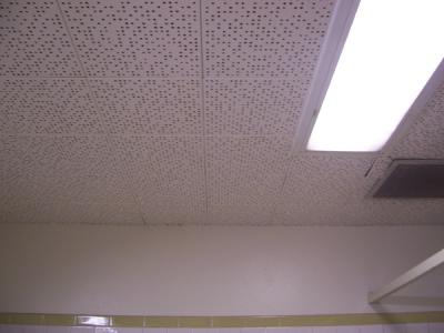 ceiling. it's what's up.