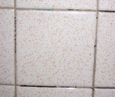 round a grout, petatile