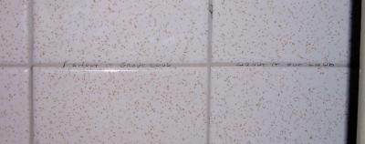 shout it grout loud, grout it out loud.