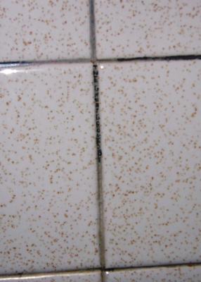 the great groutsby  (hee hee)