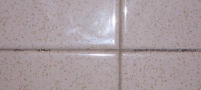 you're grout!