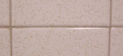 frosted flakes aren't good they're grrrrrrrrrrout!