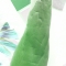 Photosynthetic arm Photosynthetic arm