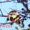 tweet.jpg tweet.jpg