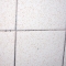 oscar the grout