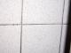 oscar the grout