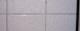 shout it grout loud, grout it out loud.
