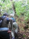  Through the woods