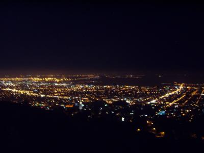 View from the Whale