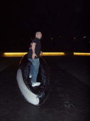 Graff on the Whale