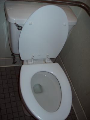 07 - Dan Bathroom, Womens, 4 - it's not Muddy Waters.JPG