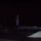 Venning crossing whale