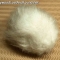 Behold... The Tribble! Behold... The Tribble!