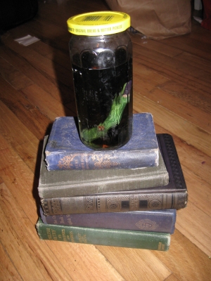 013.JPG 013.JPG