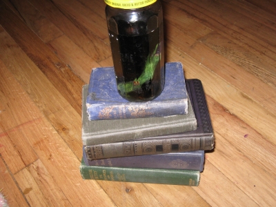 there's cat puke under that book. there's cat puke under that book.