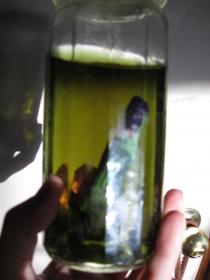 024.JPG 024.JPG