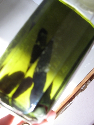 025.JPG 025.JPG