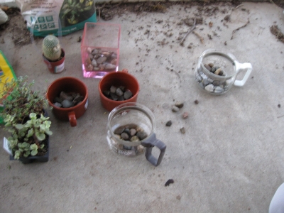 how to pot a plant: stage 1 how to pot a plant: stage 1