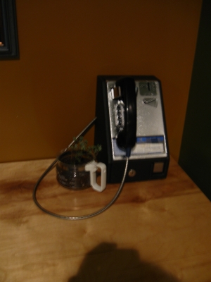 that's my shadow. yup.