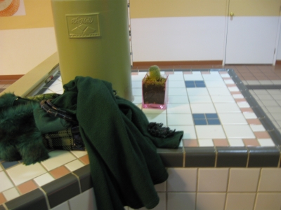 my coat is eating a small dog.