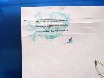 the slicing of the small sheet