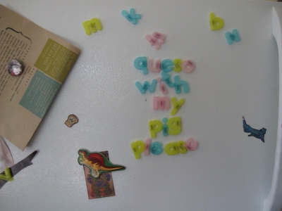 into the frige