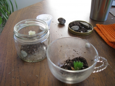 prior to the introduction of moisture