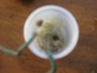 amorphous fuzz. 