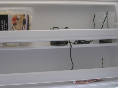 IMG_1099.JPG IMG_1099.JPG