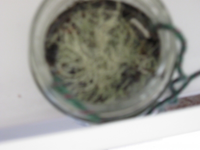 vauge & blurry vauge & blurry