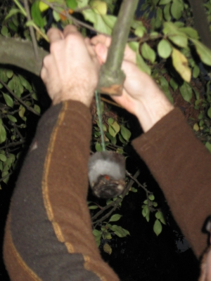 IMG_1147.JPG IMG_1147.JPG