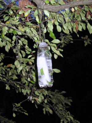 IMG_1154.JPG IMG_1154.JPG