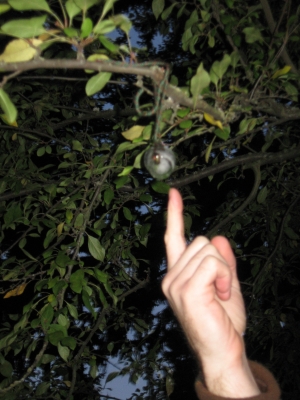 IMG_1155.JPG IMG_1155.JPG