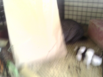 Picture 008.jpg