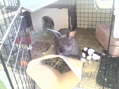 Picture 009.jpg