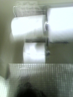 toilet paper roll in place