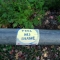 Feel No Shame NE 12th & Sandy.JPG