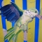 mightyfistbeak acrylic on canvas 20x20.JPG