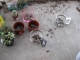 how to pot a plant: stage 1