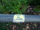 Feel No Shame NE 12th & Sandy.JPG