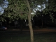 IMG_1157.JPG IMG_1157.JPG