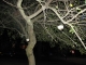 IMG_1160.JPG IMG_1160.JPG