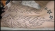 outline