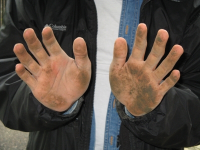 Rao's Hands