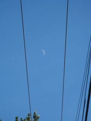 The moon The moon