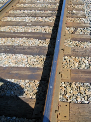 Bumps on a log